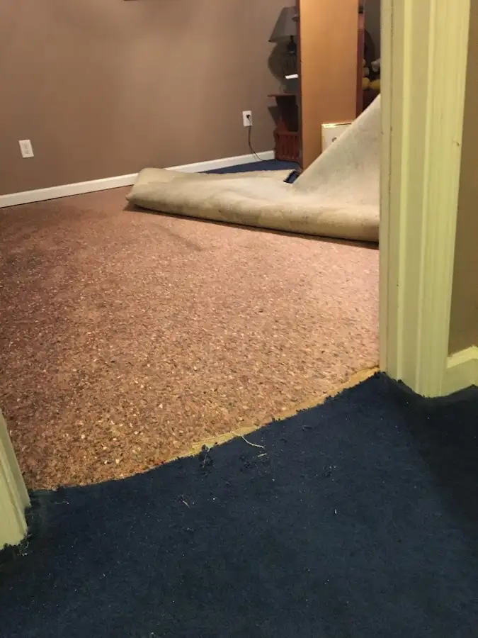 Carpet pad removal revealing water damage during Water Mitigation Services in Novi