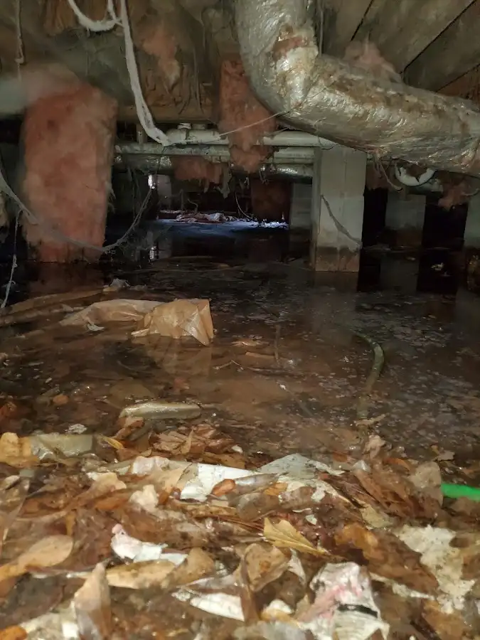 Crawl space flood assessment for Leak Detection & Repair in Novi
