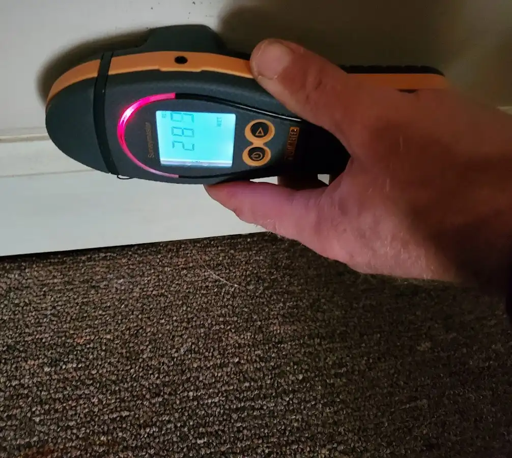 Moisture detection at baseboard during Storm Damage Restoration in Novi